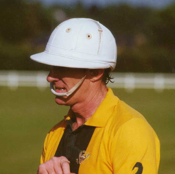 hipwood